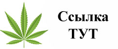 Купить наркотики в Каспийске